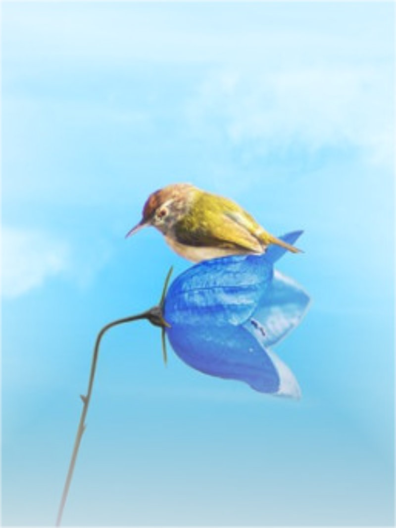 And here I am, Like a small hummingbird