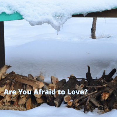 Are You Afraid to Love